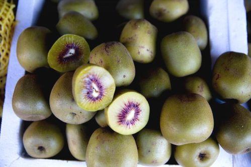 西昌的瓜最新爆料,揭秘最新瓜种传奇 第3张 西昌的瓜最新爆料,揭秘最新瓜种传奇 第3张